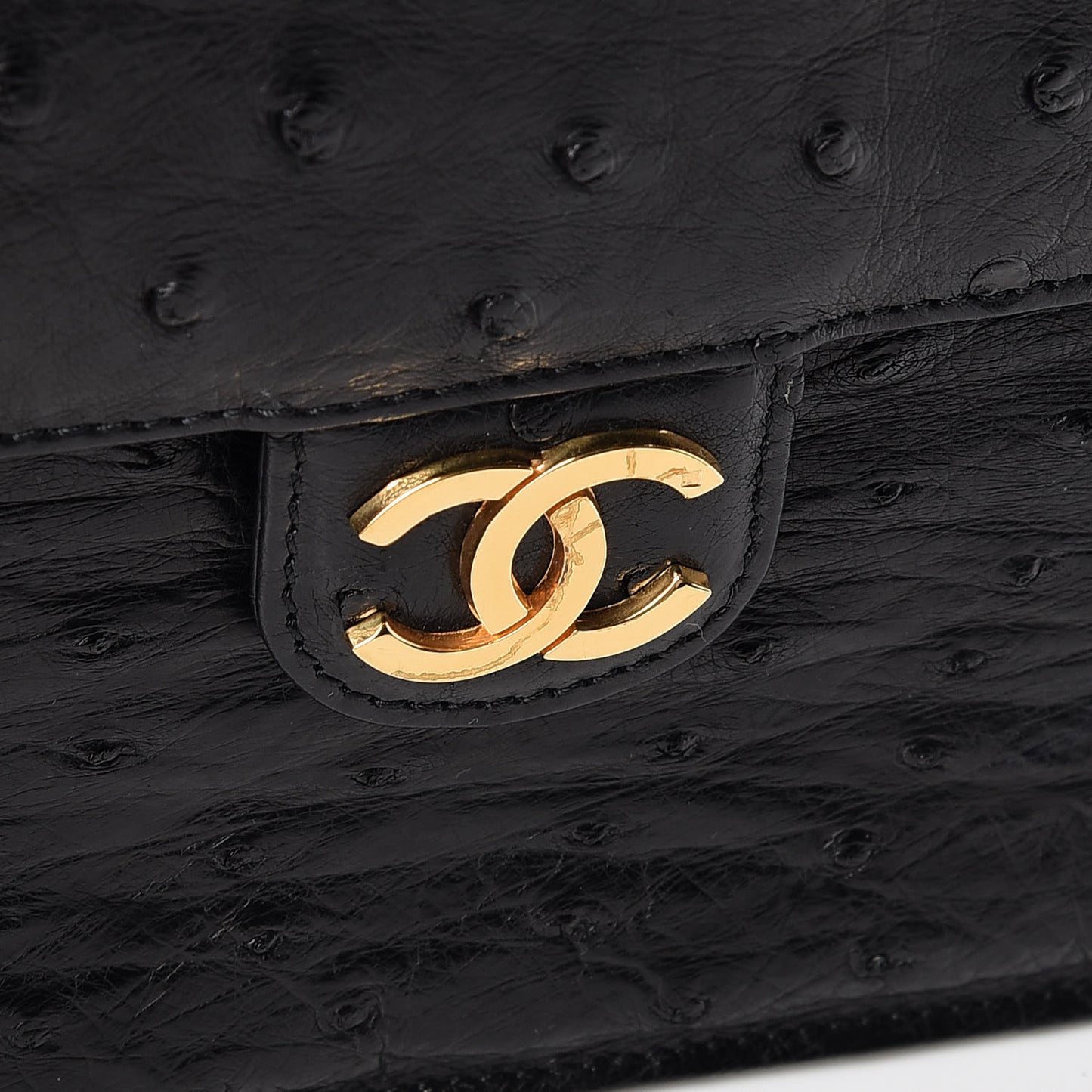 Ostrich Medium Single Flap Black