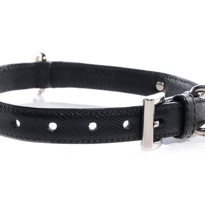 Prada Saffiano Dog Collar Nero Black 5 of 7
