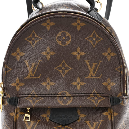 Louis Vuitton Monogram Palm Springs Backpack Mini 8 of 13