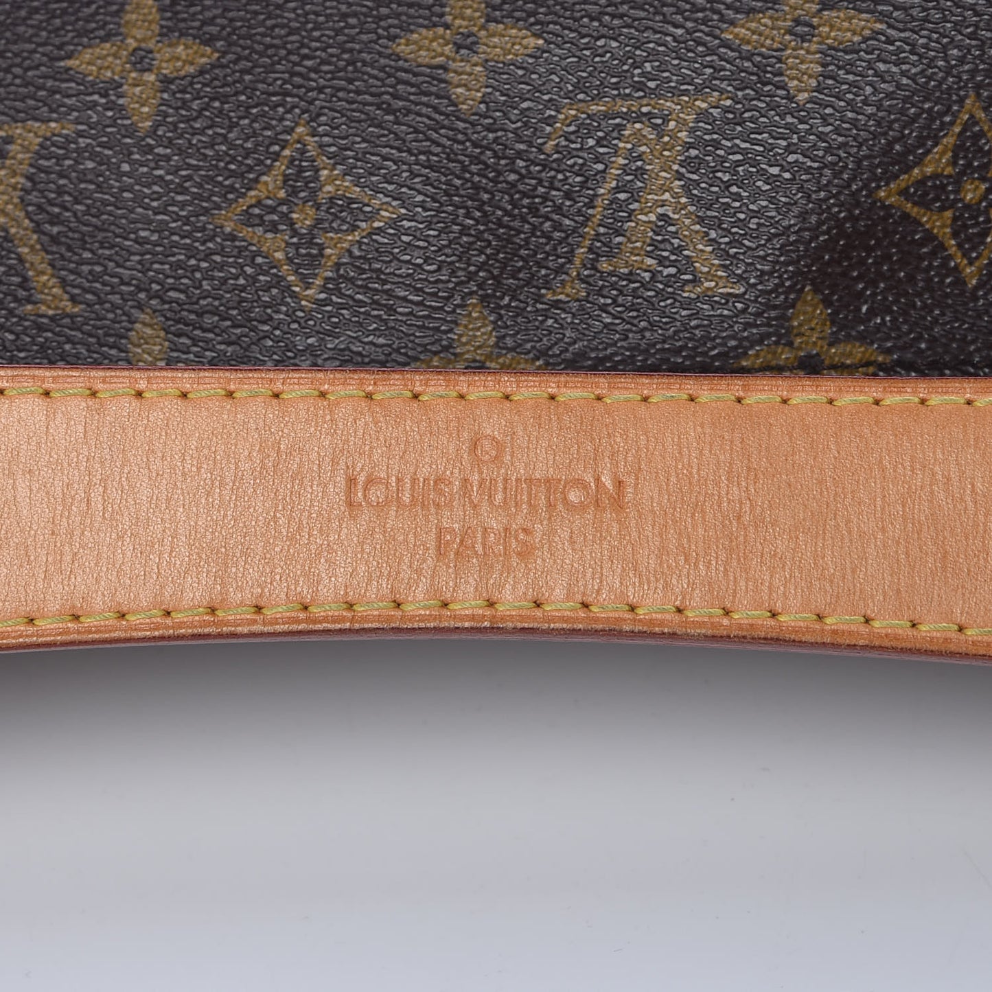 Monogram Sully PM