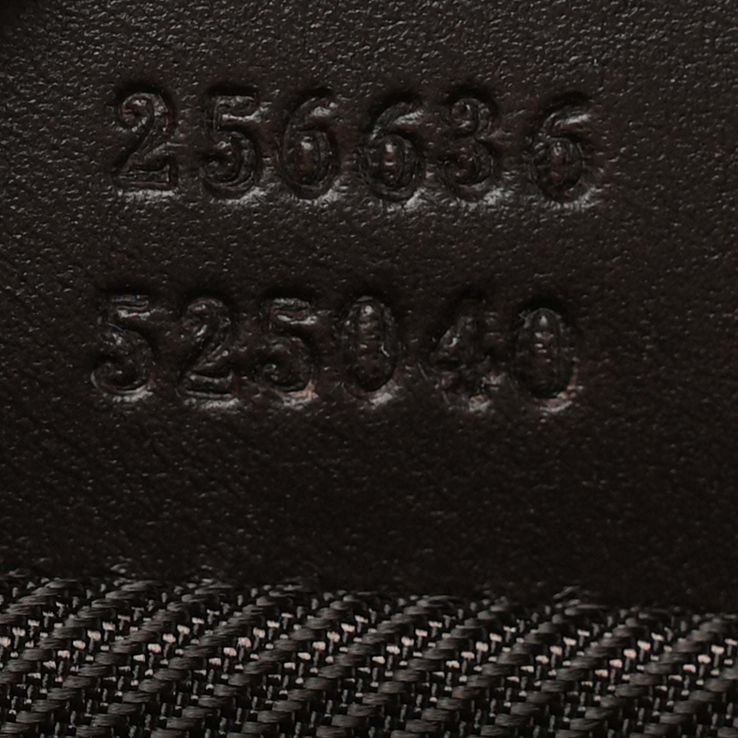 Monogram Web Small Cosmetic Case Dark Brown