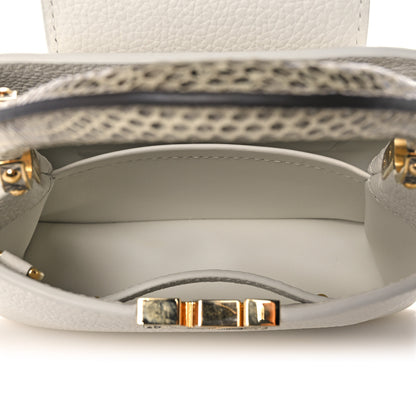 Louis Vuitton Taurillon Ayers Capucines Mini White Snow White 5 of 10