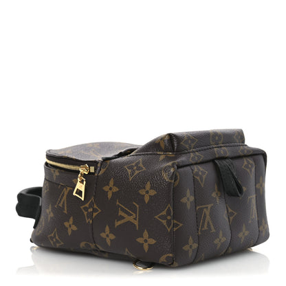 Louis Vuitton Monogram Palm Springs Backpack Mini 4 of 10