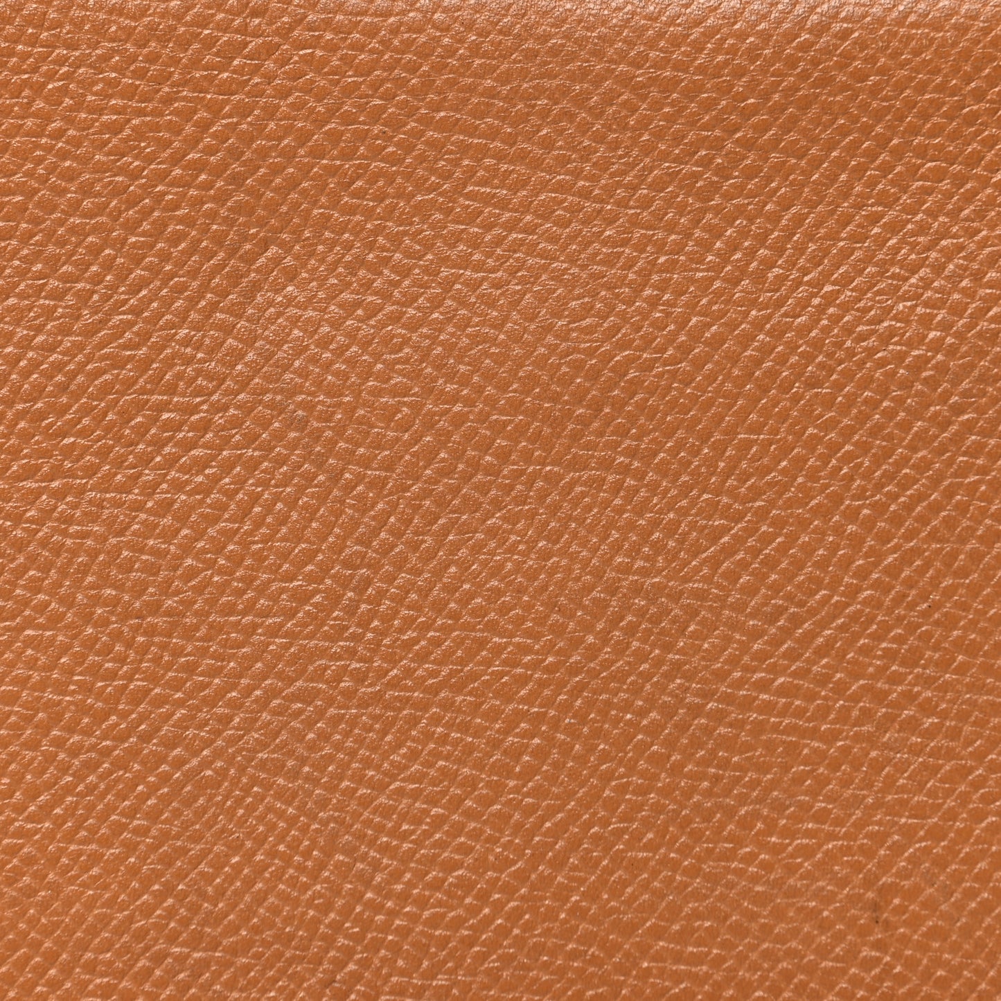 Courchevel Globe Trotter Agenda Cover GM Gold