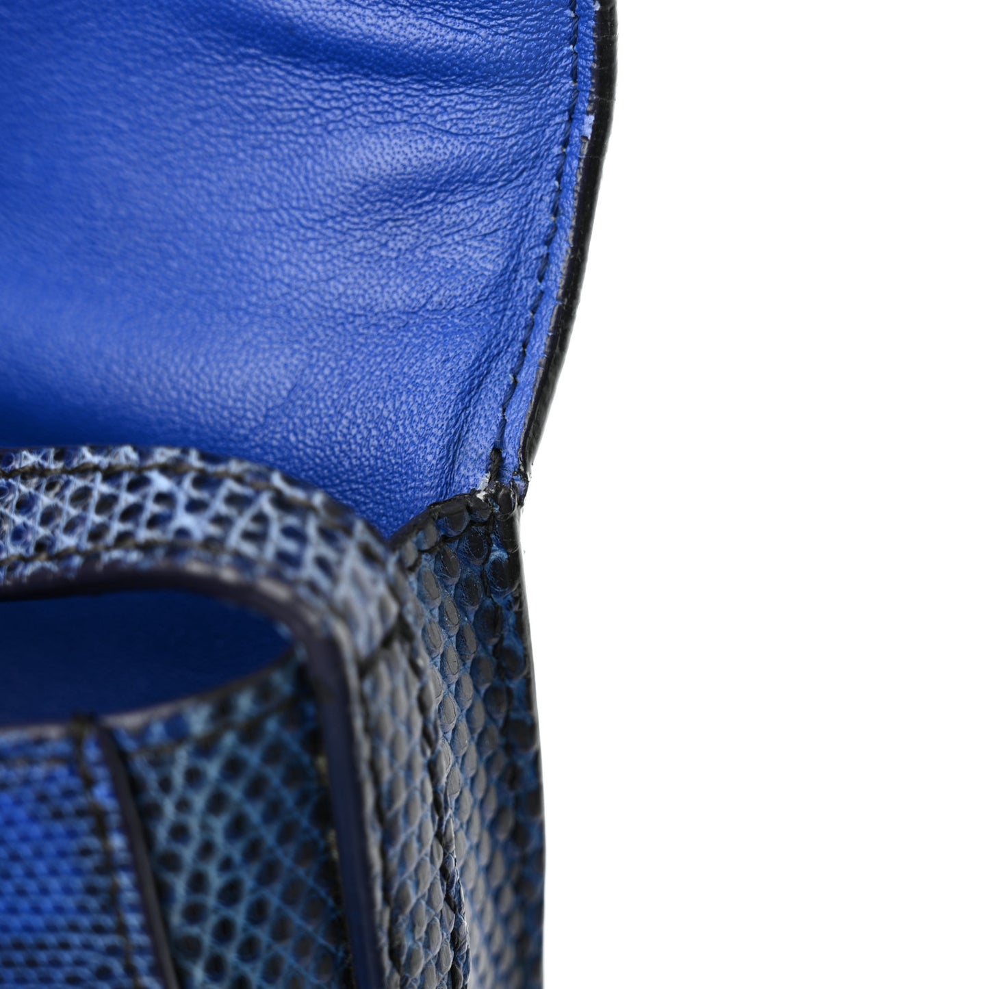 Lizard Small Trotteur Blue