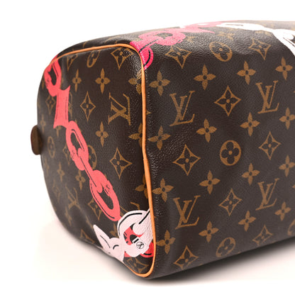 Louis Vuitton Monogram Roses Speedy 30 8 of 9