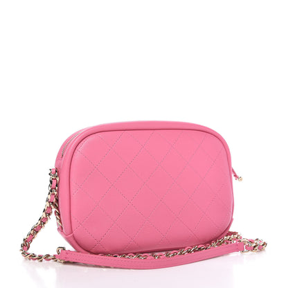 Chanel Goatskin Quilted Medium Casual Trip Camera Case Pink 3 of 9