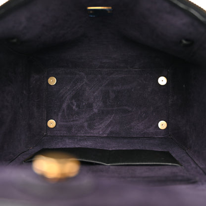 Celine Grained Calfskin Mini Belt Bag Black 5 of 12