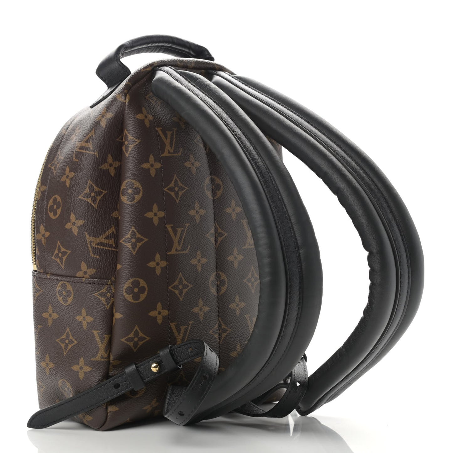 Monogram Palm Springs Backpack PM
