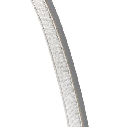 Celine Laminated Calfskin Nano Belt Bag Silver 12 of 13