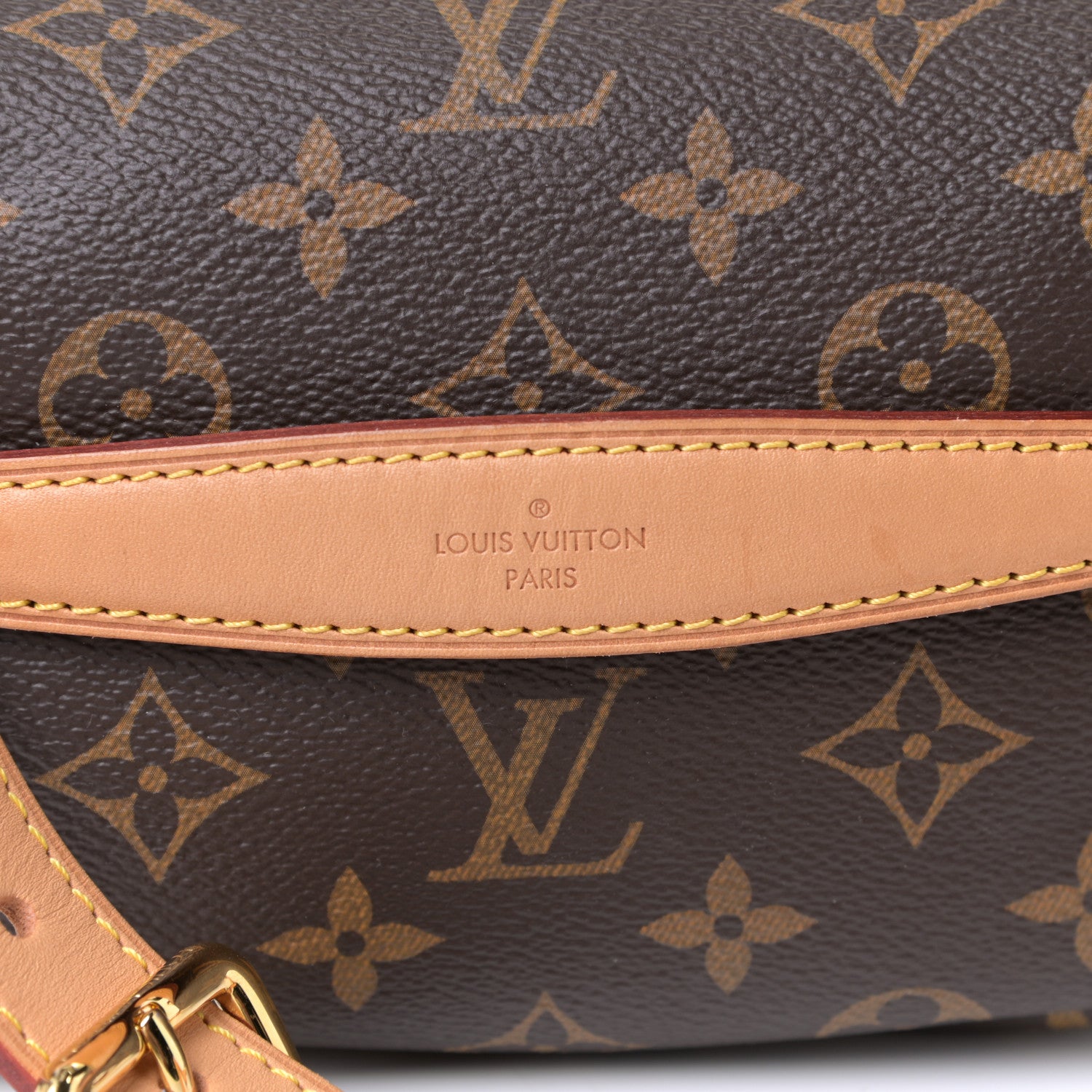 Louis Vuitton Monogram Bumbag 6 of 7