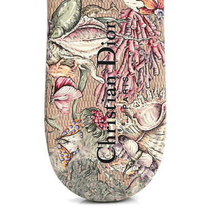 Christian Dior Straw Embroidered Cabinet De La Mer Dway Flat Slide Sandals 38.5 Multicolor 7 of 9