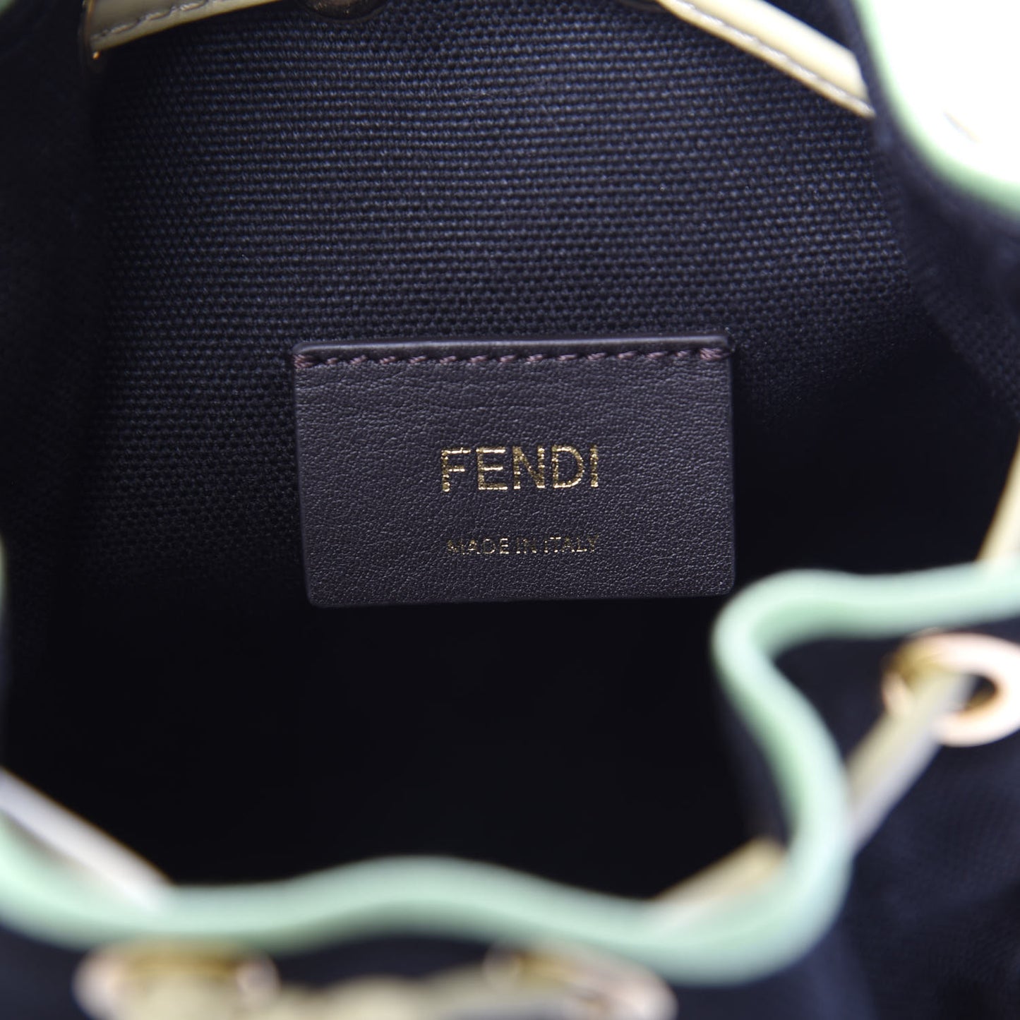 Canvas Vitello Century F is Fendi Psychedelic Flowers Embroidered Mini Mon Tresor Bucket Bag Verde Mandorlo Multicolor