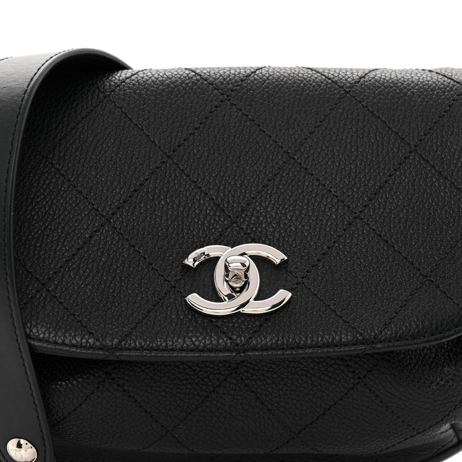 Chanel Calfskin Quilted Jungle Stroll Shoulder Bag Black 8 of 14