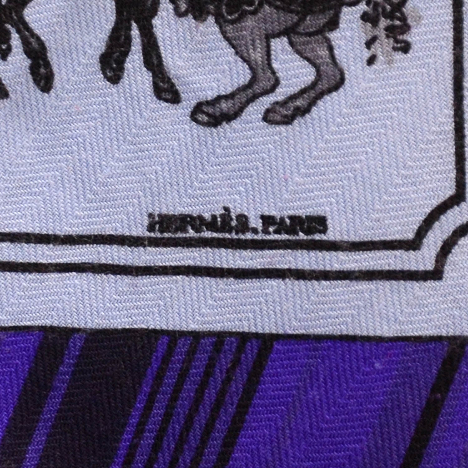 Hermes Cashmere Silk A Cheval Sur Mon Carre Shawl GM 140 3 of 7