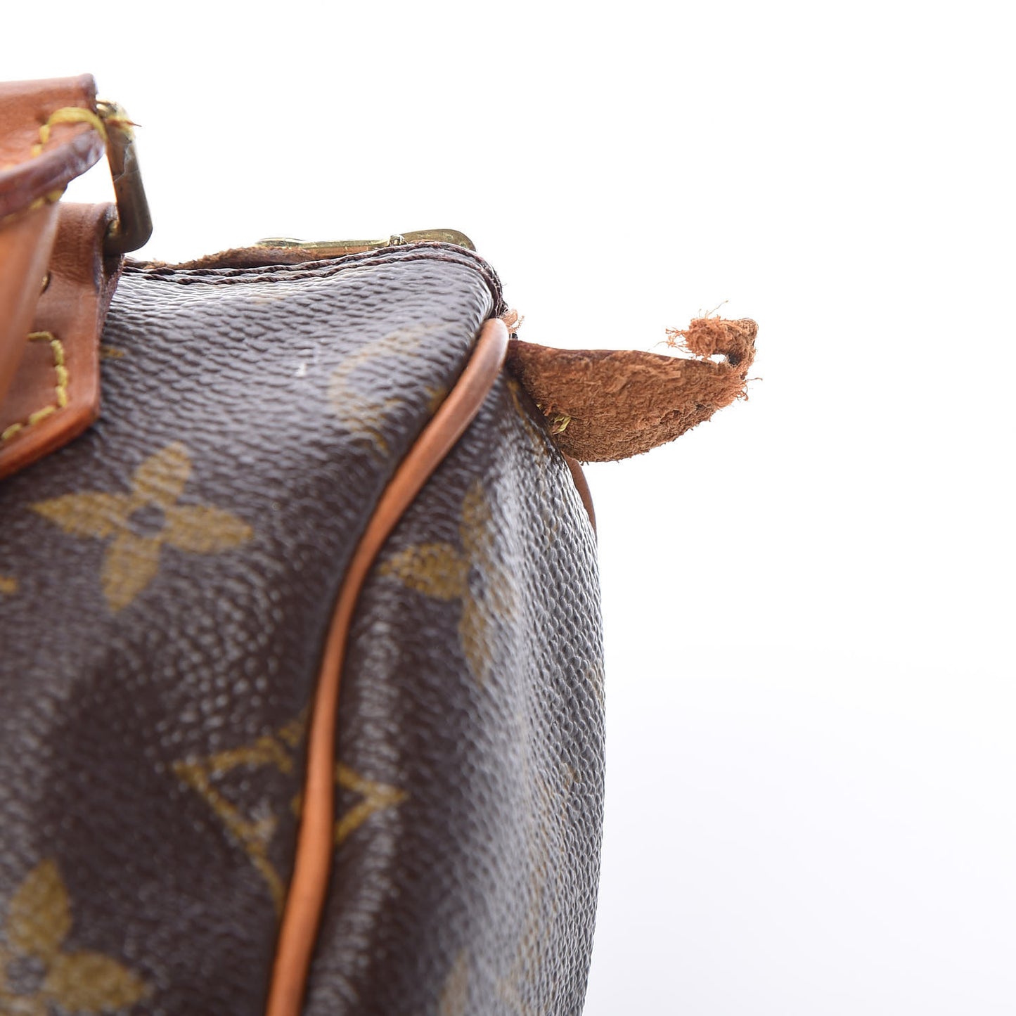 Monogram Mini Sac HL Speedy