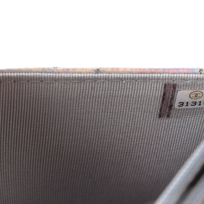 Chanel Iridescent Goatskin Quilted Wallet On Chain WOC Silver 10 of 12