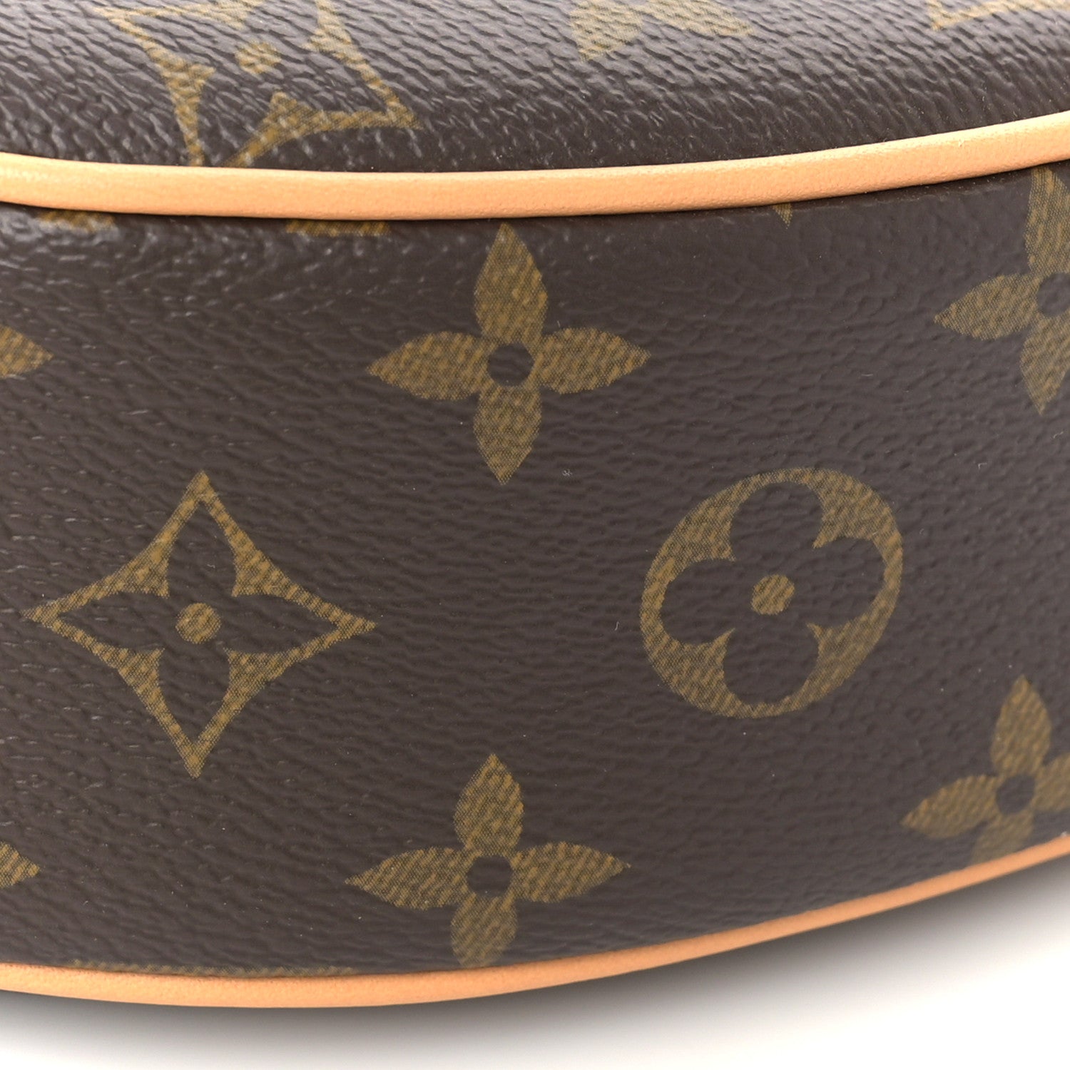 Louis Vuitton Monogram Loop 8 of 8