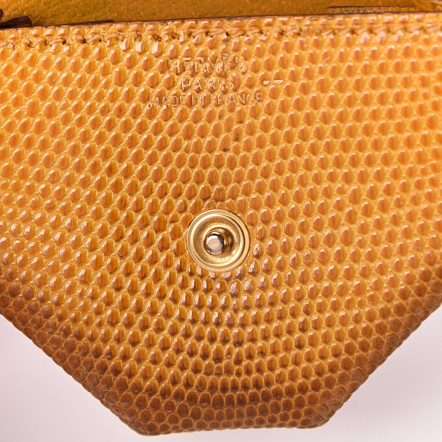 Lizard 24 Change Purse Sapphire