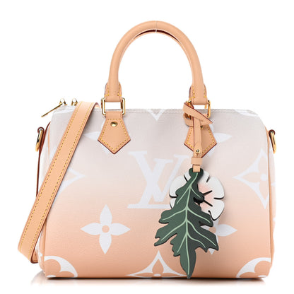 Louis Vuitton Monogram Giant By The Pool Speedy Bandouliere 25 Brume 1 of 4