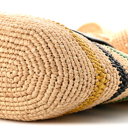 Loewe Raffia Rasta Striped Mini Slit Tote Bag Natural Multicolor 9 of 9