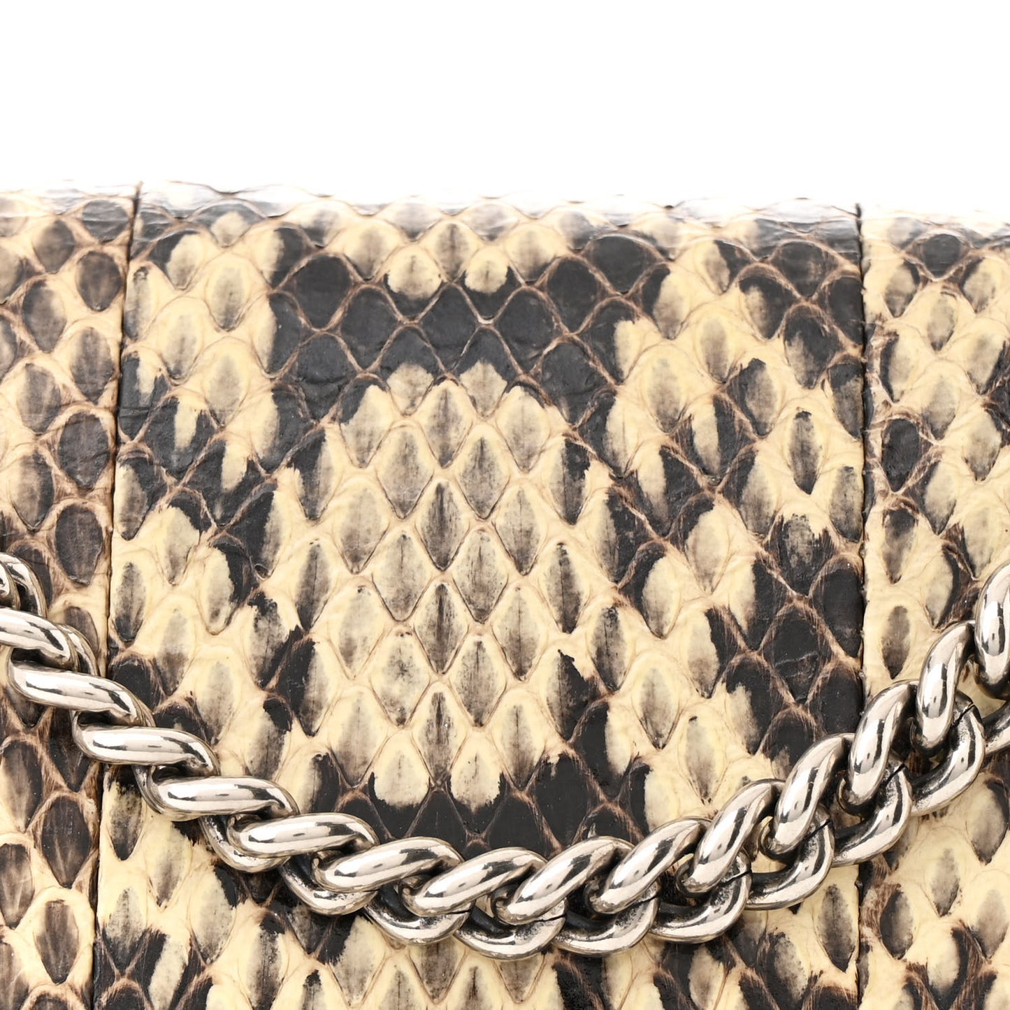 Watersnake Mini Dionysus Chain Wallet
