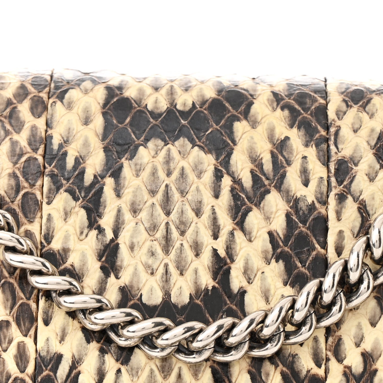 Gucci Watersnake Mini Dionysus Chain Wallet 9 of 16