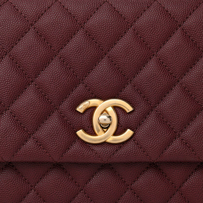 Chanel Caviar Lizard Quilted Small Coco Handle Flap Burgundy 8 of 10