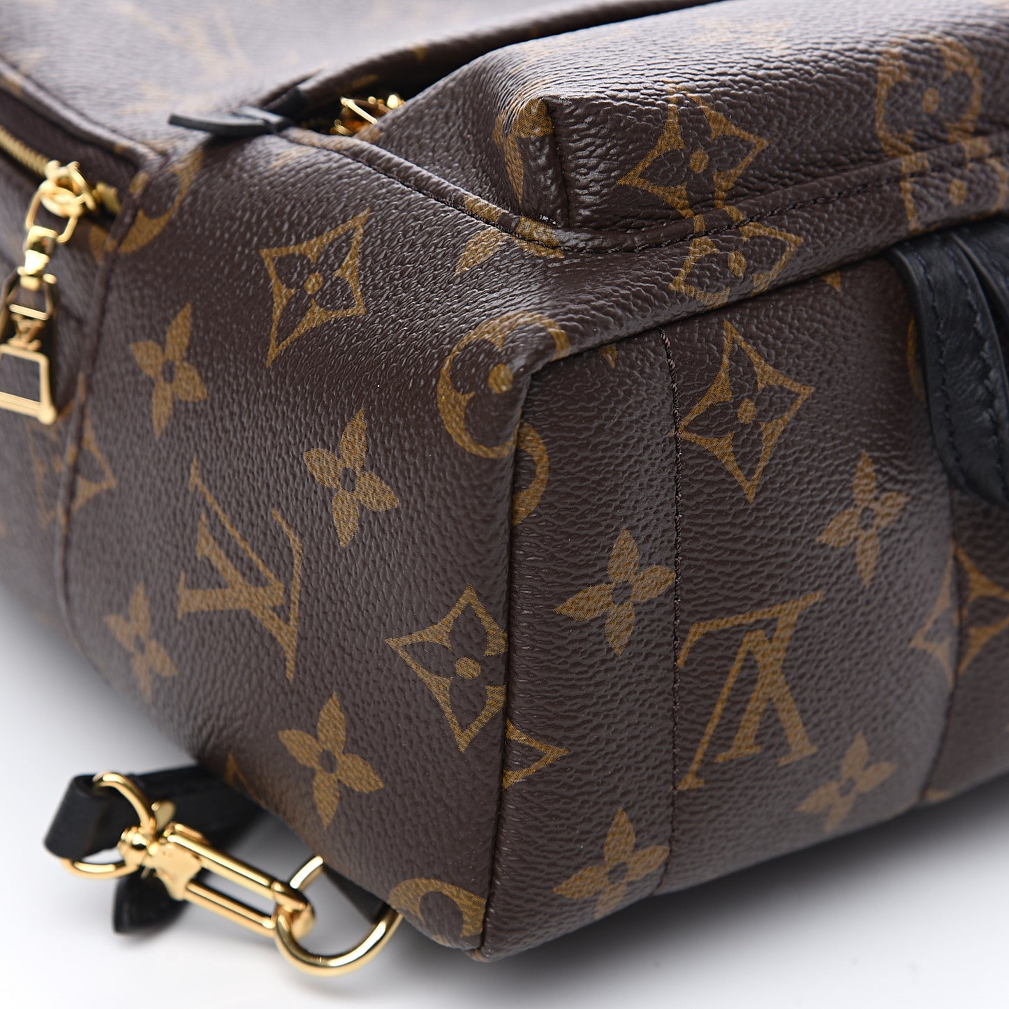 Monogram Palm Springs Backpack Mini