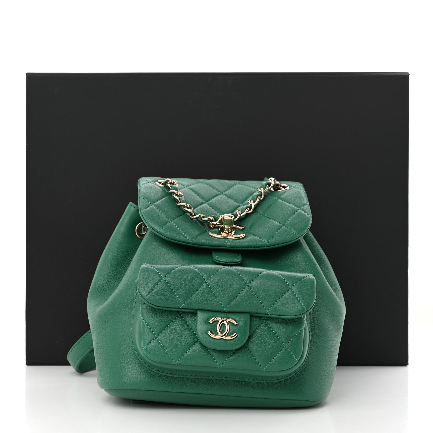 Chanel Lambskin Quilted Small Duma Drawstring Backpack Green 11 of 11