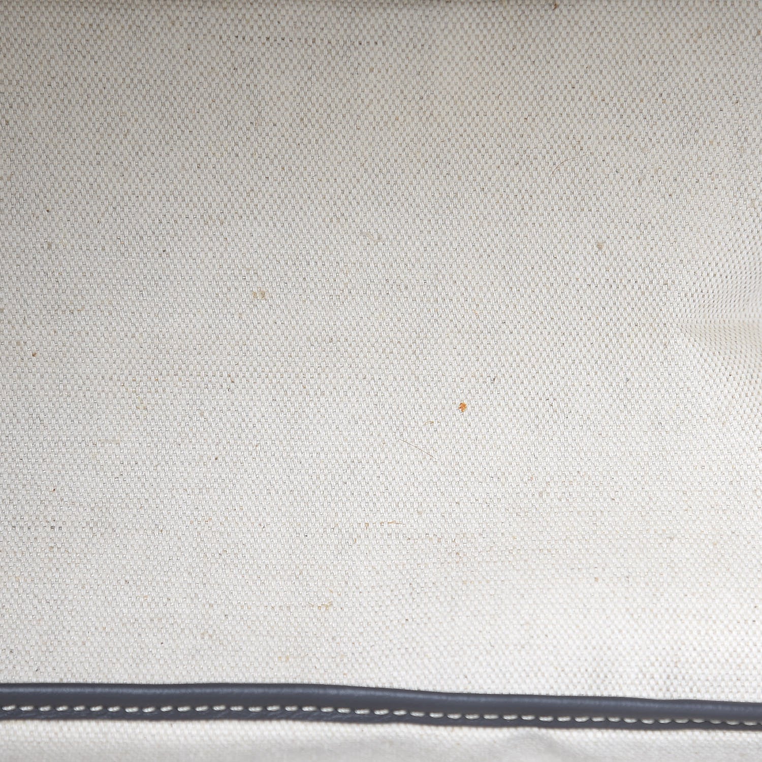 Goyard Goyardine Saint Louis PM Grey 11 of 11