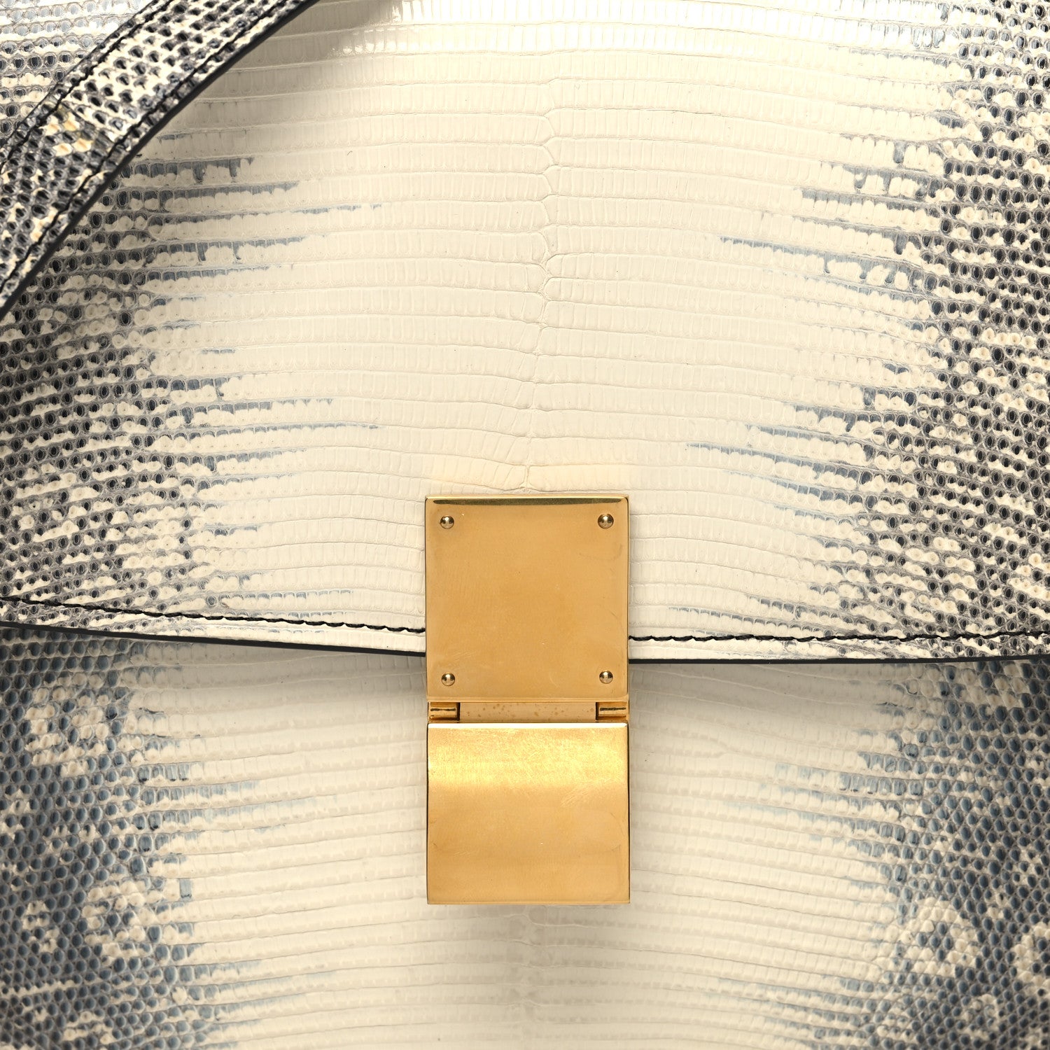 Celine Lizard Medium Classic Box Flap Bag Natural 8 of 10