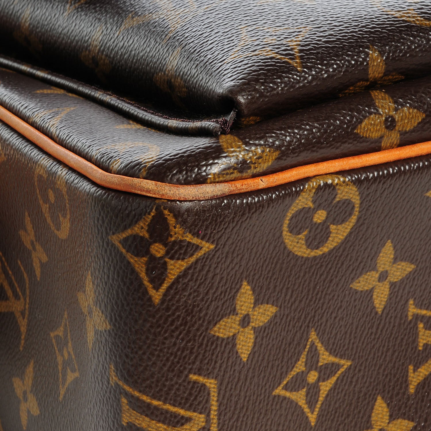 Louis Vuitton Monogram Viva-Cite GM 5 of 8