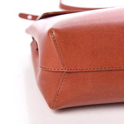 Mansur Gavriel Calfskin Mini Lady Bag Ginger 15 of 17