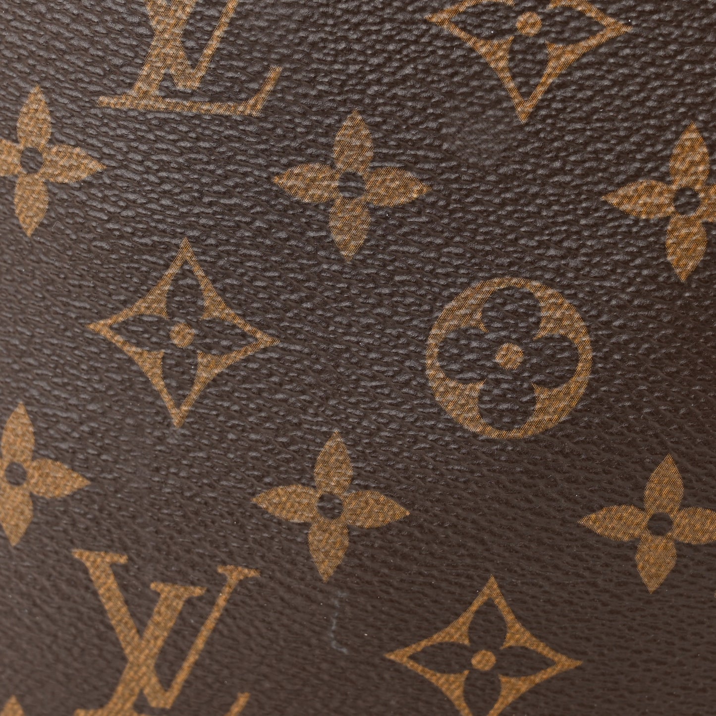 LOUIS VUITTON Monogram Palm Springs Backpack PM