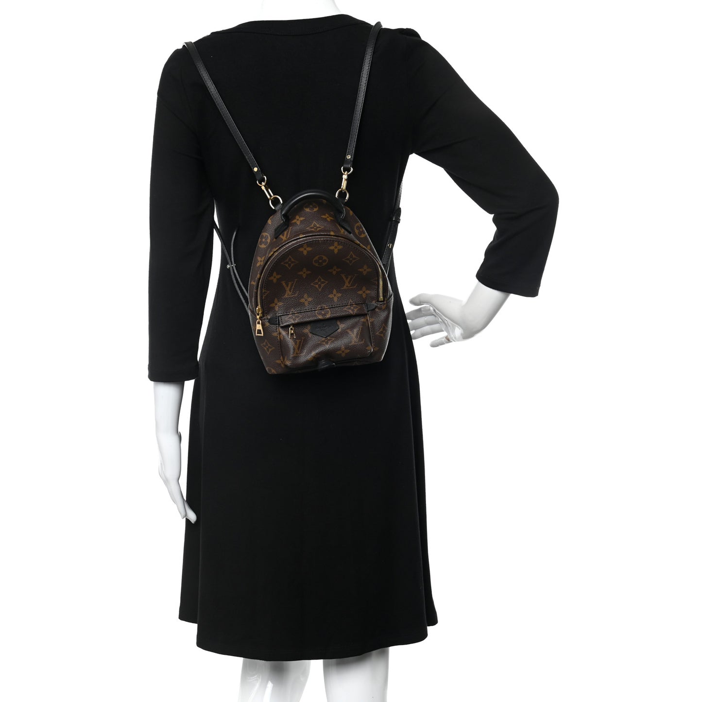 Monogram Palm Springs Backpack Mini