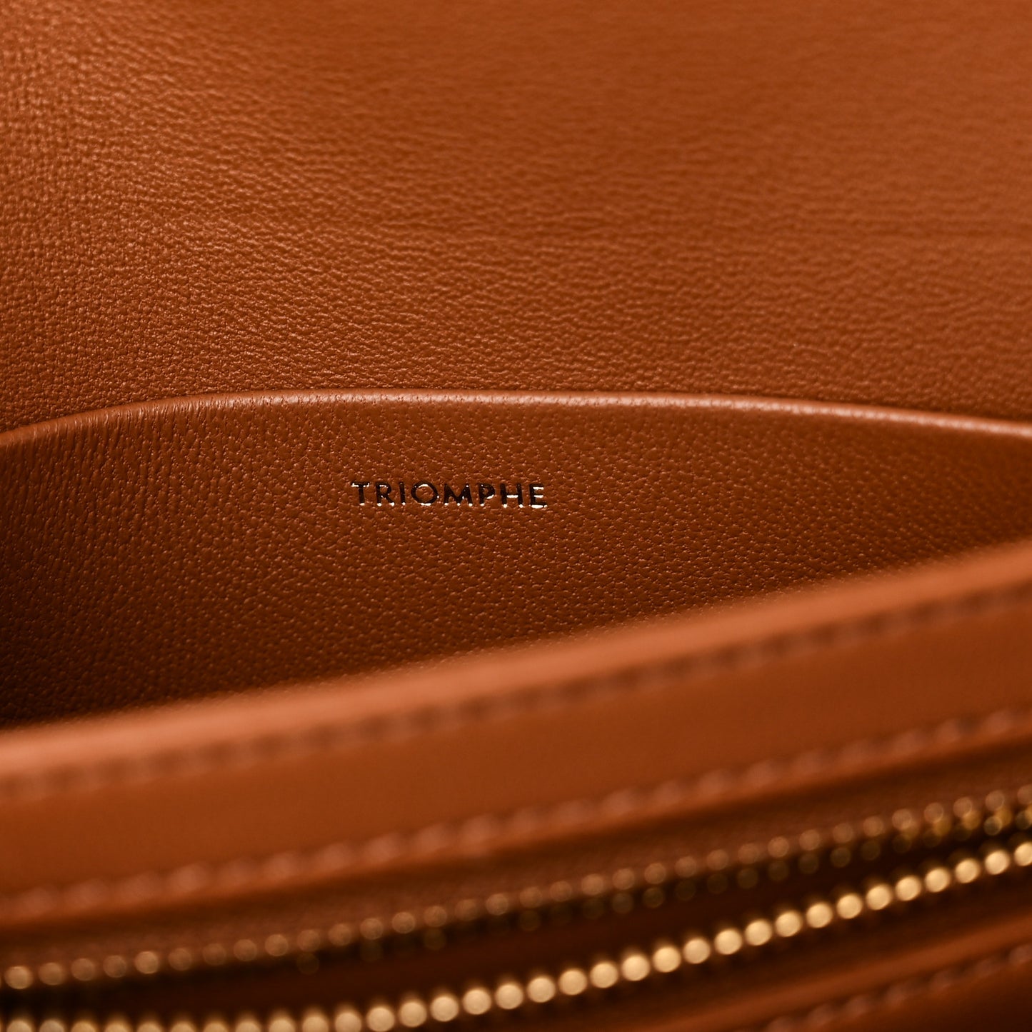 Calfskin Triomphe Canvas Teen Triomphe Bag Tan