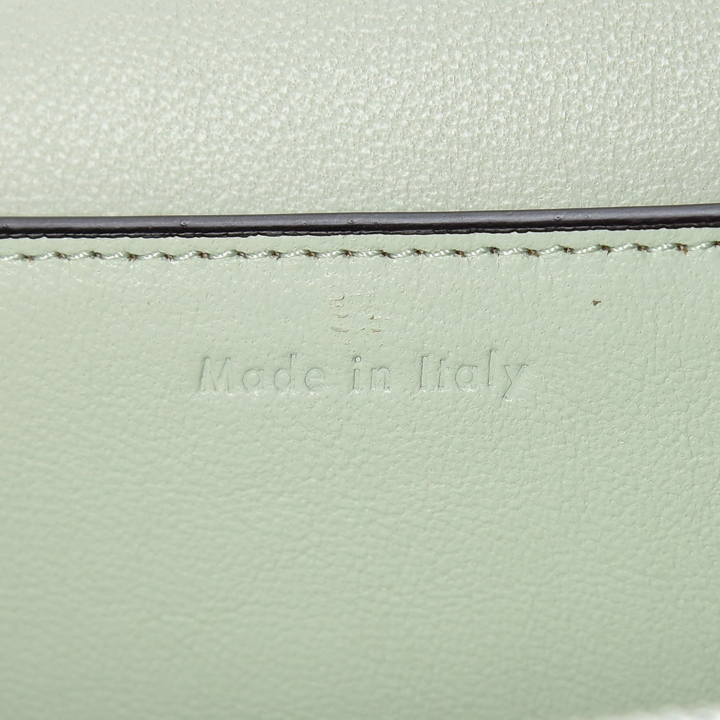 Shiny Smooth Calfskin Medium Frame Shoulder Bag Pastel Green Pop Red