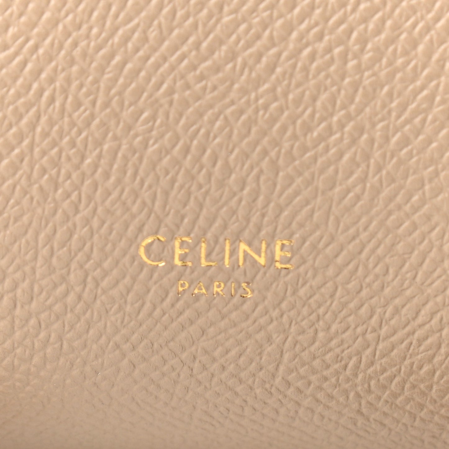 Grained Calfskin Mini Belt Bag Dune