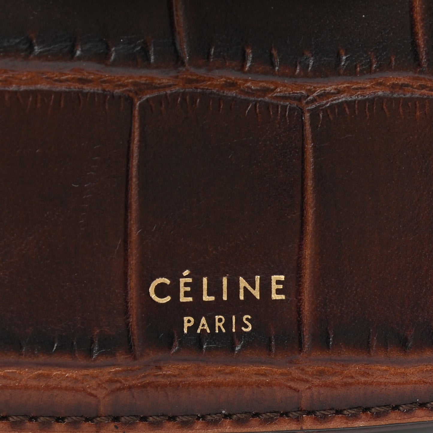 Crocodile Embossed Calfskin Mini Symmetrical Bag Brown