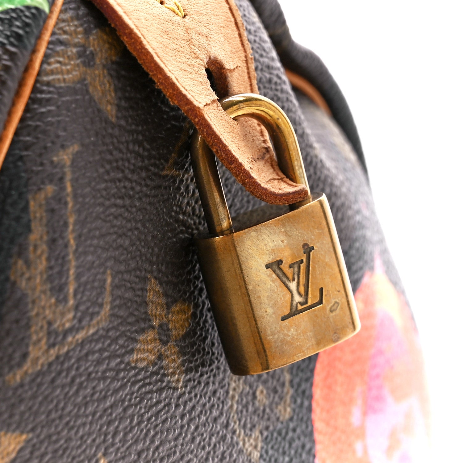 Louis Vuitton Monogram Roses Speedy 30 8 of 17