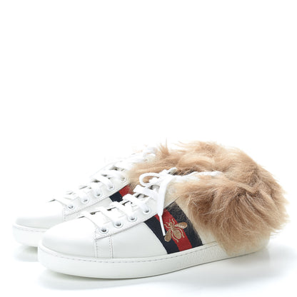 Gucci Calfskin Wool Web Bee Embroidered Womens Ace Sneakers 37.5 White 3 of 8