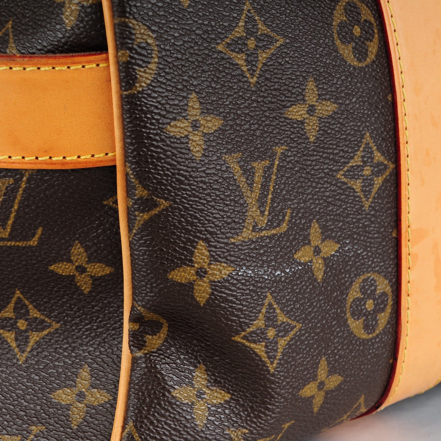 Monogram Carryall