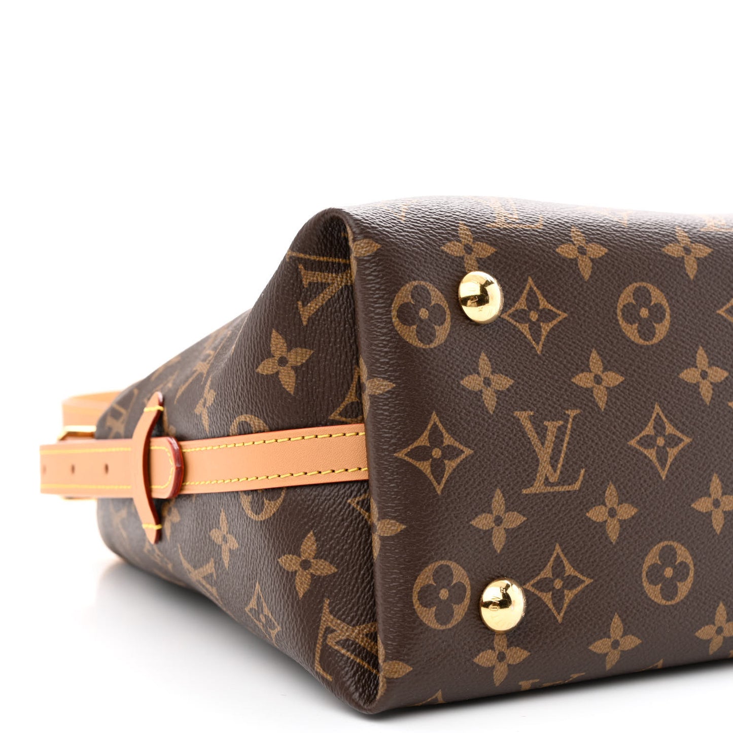 Monogram CarryAll PM