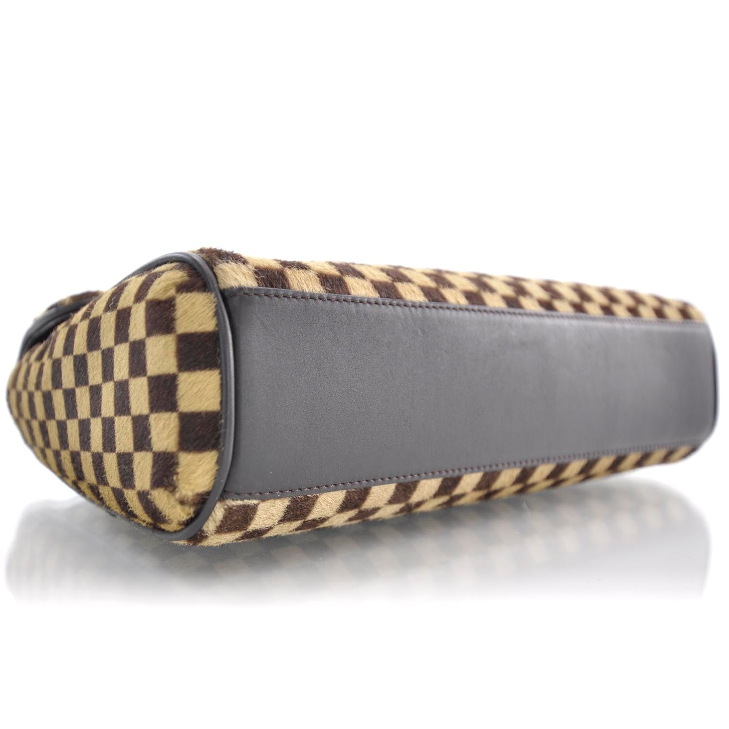 Louis Vuitton Damier Sauvage Lionne 6 of 9
