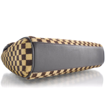 Louis Vuitton Damier Sauvage Lionne 6 of 9