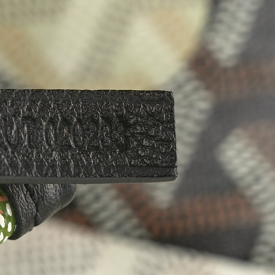 Goyard Goyardine Saint Louis Lettres Camouflage PM Black Green 8 of 11