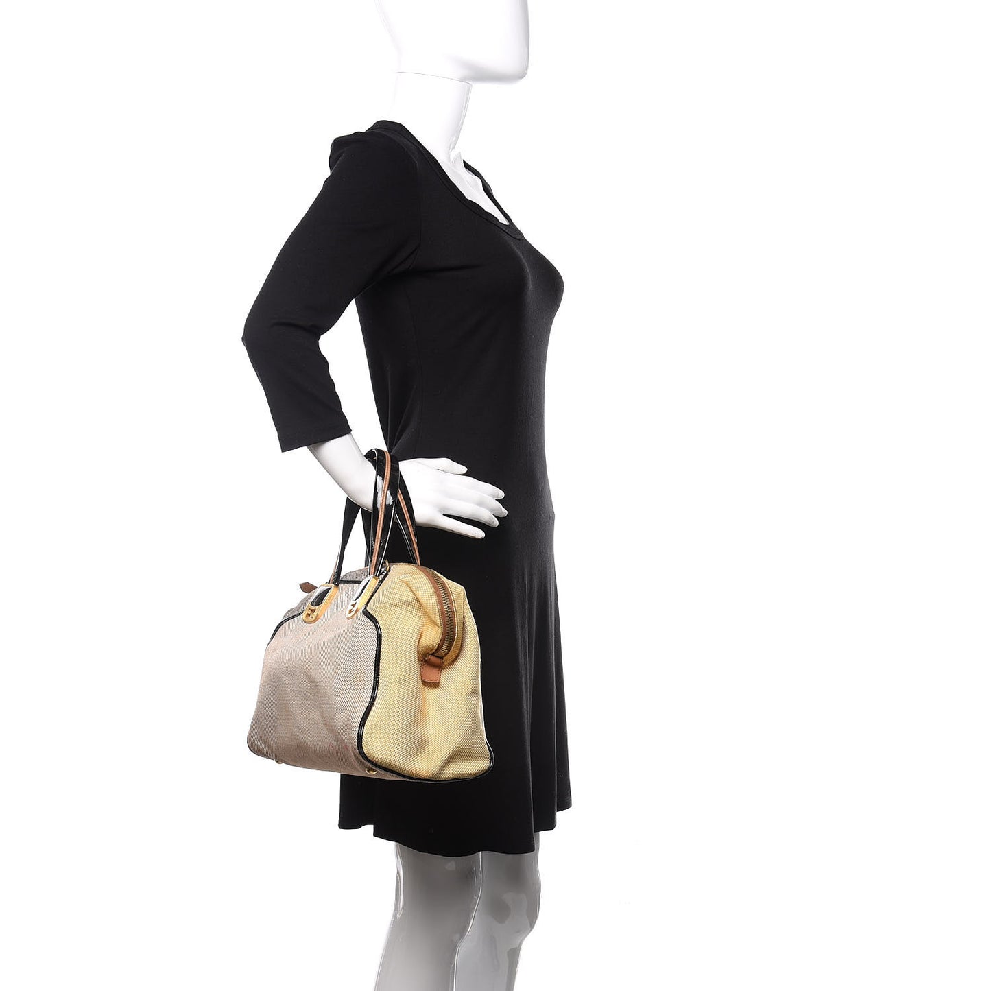 Canvas Colorblock Small Chameleon Tote Natural