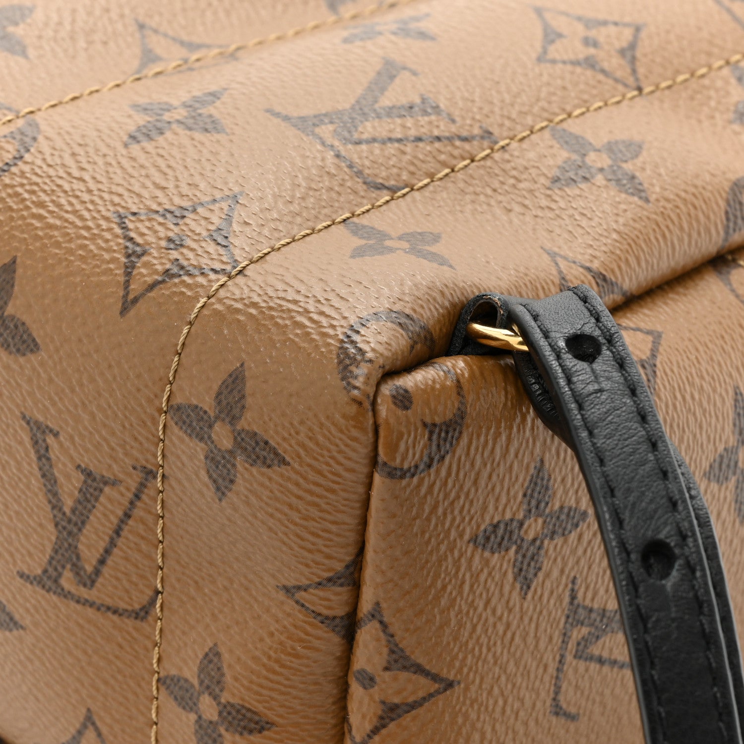 Louis Vuitton Reverse Monogram Palm Springs Backpack Mini 10 of 12