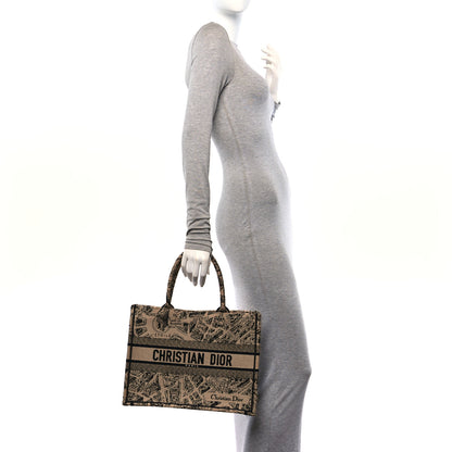 Christian Dior Canvas Embroidered Medium Plan De Paris Book Tote Beige Multi 2 of 11